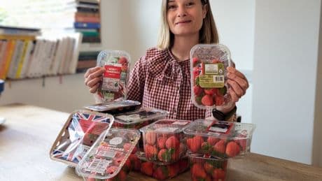 I tried 14 supermarket strawberries – one was a clear favourite