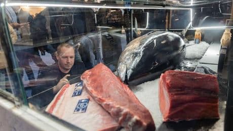 La industria del pescado se cita en el Seafood, que tendrá un impacto de 156 millones de euros en Barcelona