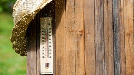 37°C à Paris et Bordeaux, 36°C à Lyon : le pic de la vague de chaleur attendu samedi en France