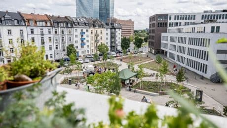 Was bringt die grüne Stadt?