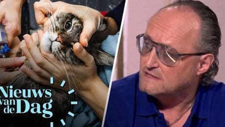 Dion Graus over torenhoge dierenartskosten: ‘Het moet geen elitaire hobby worden’