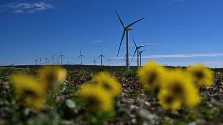 "Réduire la paperasserie": Bruxelles veut accélérer les permis pour des projets d'énergies renouvelables