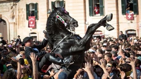 Tourist, 27, has finger torn off by parade horse in Spanish fiesta horror