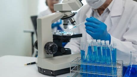 Investigadores catalanes y de EEUU hallan una terapia capaz de proteger las neuronas ante el alzhéimer