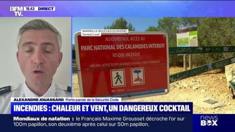Feux de forêt : "Risque élevé" dans huit départements - 02/08