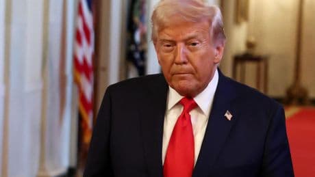 Droits de douane : Donald Trump ouvre la voie à des surtaxes sur certains minerais et objets électroniques