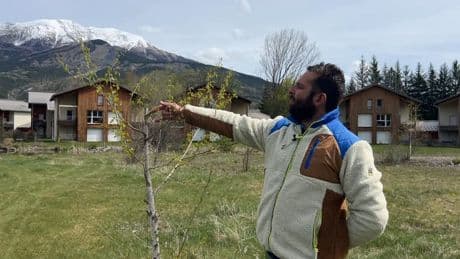 Barcelonnette: une cinquantaine de pins vandalisés au golf du Bois Chenu, la mairie porte plainte