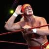 Dix choses à savoir sur le légendaire Hulk Hogan, icône du catch, décédé à 71 ans