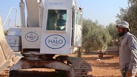 Dumfries and Galloway landmine clearing charity to help protect frankincense trees in Somalia