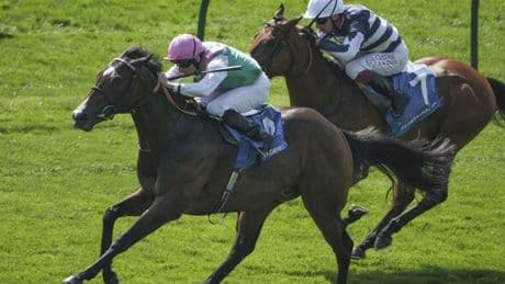 'I'm backing a 7-2 shot to win - here are my ITV Racing tips for Saturday'