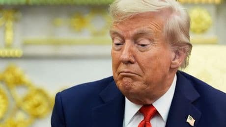 „Vielleicht mögen US-Bürger einen Diktator“, sagt Trump