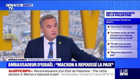 Famine à Gaza: l'ambassadeur d'Israël en France assure que "ce n'est pas Israël qui bloque" les camions d'aide humanitaire