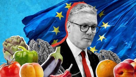 Fruit and veg from EU set to get cheaper as UK axes border checks in Brexit reset