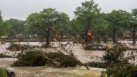 Everything we know about Texas flooding victims: Girl ‘living her best life’ at camp and man who saved his family