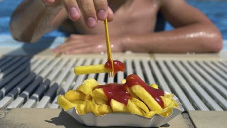 Knollenkunde: Was wäre die Kartoffel ohne die Tomate?