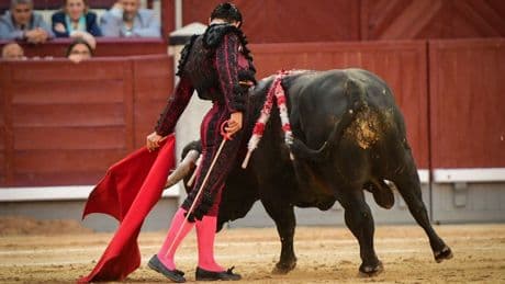Pablo Aguado levanta un prodigio sobre las ruinas de la tarde y el cadáver de Juan Ortega en Las Ventas