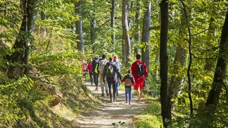 « Sans avion, le tourisme serait plus local »
