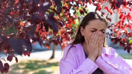 Adiós a la alergia primaveral: las tres infusiones que ayudan a combatir los síntomas