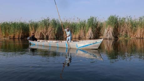 Irak: la prospection pétrolière menace les mythiques marais mésopotamiens