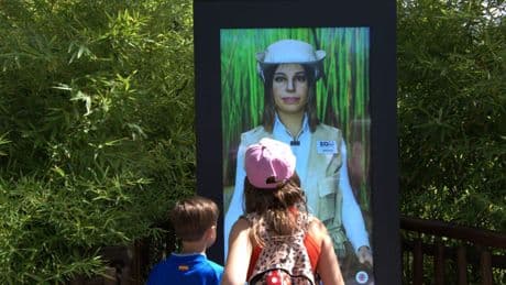 La inteligencia artificial llega a los parques de ocio