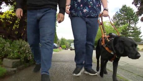 Surrey woman with certified guide dog denied entry to 2 separate Walmarts