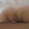 Moment gigantic 'wall of dust' sand storm engulfs Saudi town sparking travel chaos and evacuations