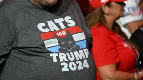 Tariffs got claws: Cost of cat food set to skyrocket under Trump’s import plan