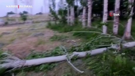 Muş’ta fırtına ağaçları ve elektrik direklerini devirdi