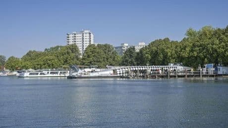 Hund gestorben – Warnung vor Blaualgen am Tegeler See