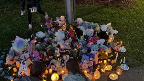 ‘Let truth be revealed’: What was said at candlelight vigil for missing N.S. kids