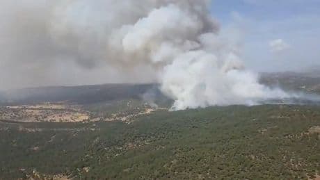 Medio centenar de medios participan en la extinción de un incendio en San Bartolomé de Pinares
