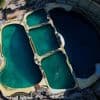 "Nous avons été très choqués" : plusieurs ONG accusent le Marineland d'Antibes de prélever le sperme d'une orque pour le revendre