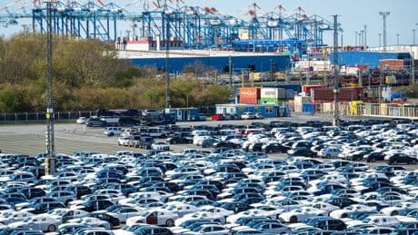 Notfälle: Giftspinnen: Schwarze Witwen im Hafen von Bremerhaven
