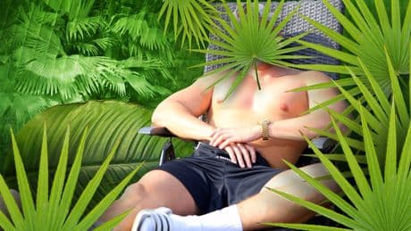 Stress und Sex bringt er gerne mit - Trash-König zieht ins Dschungelcamp