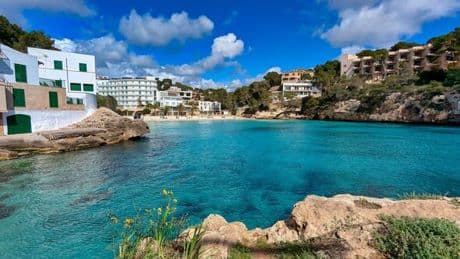 Panic in Majorca as German tourists abandon country