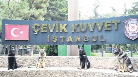 Patili kahramanlar suçluların peşinde