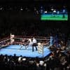Boxe. Le Japon endeuillé après la mort de deux boxeurs des suites de commotions cérébrales
