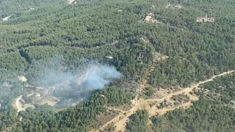 Muğla Milas’ta orman yangını
