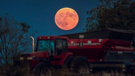 ‘Blood Moon’ Eclipse September 2025: When To See The ‘Corn Moon’ Rise