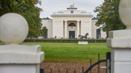 Pferde: Steuerzahlerbund: Defizitäres Landgestüt Redefin verkaufen