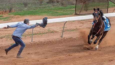 See hero horse trainer's WILD act as he risked his life to save others during a race gone horribly wrong