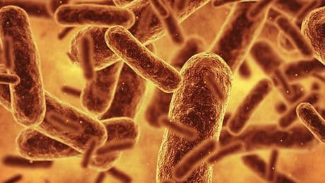 Bilim insanları bugüne kadar üretilmiş en sentetik canlıyı oluşturdu