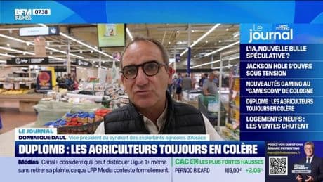 "N’achetez pas ce que vous interdisez": les agriculteurs dénoncent la censure de la loi Duplomb