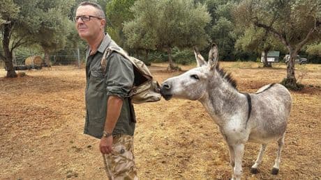 El batallón de 'burros bomberos' que desbroza el monte, un arma eficaz contra los incendios en Doñana