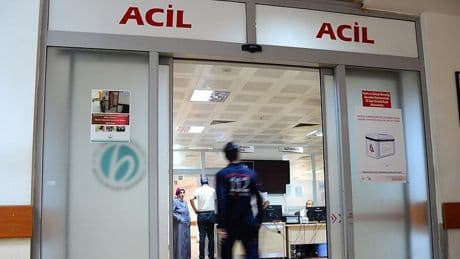 Bahçesindeki otları temizlerken canından oldu