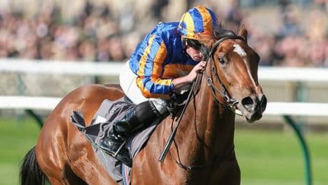 Newsboy's 1,000 Guineas tip and other TV selections for Sunday's 3 meetings