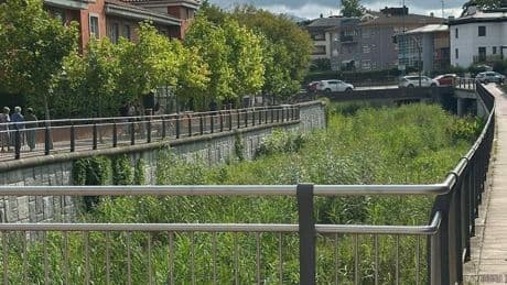 Vecinos de Getxo denuncian una plaga de ratas en la cuenca del río Gobela