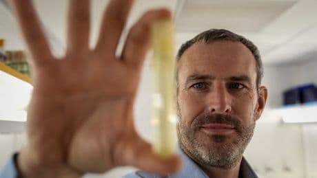 Warming seas threaten key phytoplankton species that fuels the food web, study finds