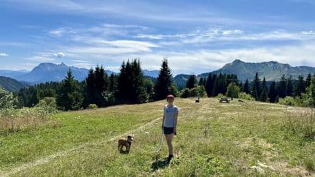 How I beat France’s 40°C heatwaves