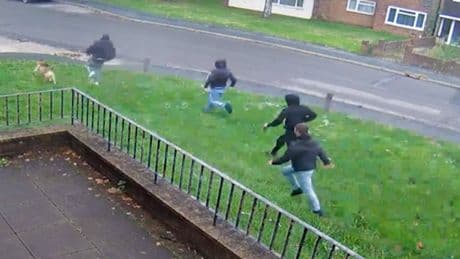 Moment man walking dog chased before fatal stabbing in Essex